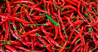 Spicy red pepper plants growing in full sunlight