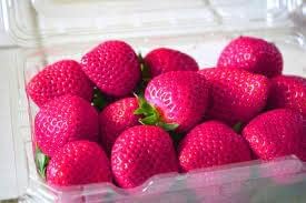 100 Pcs