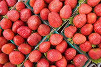 Step-by-Step Planting Instructions for Strawberry Seeds Orange in Your Garden