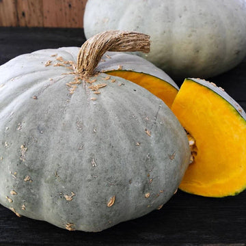 Sweet Flesh winter squash plants in garden