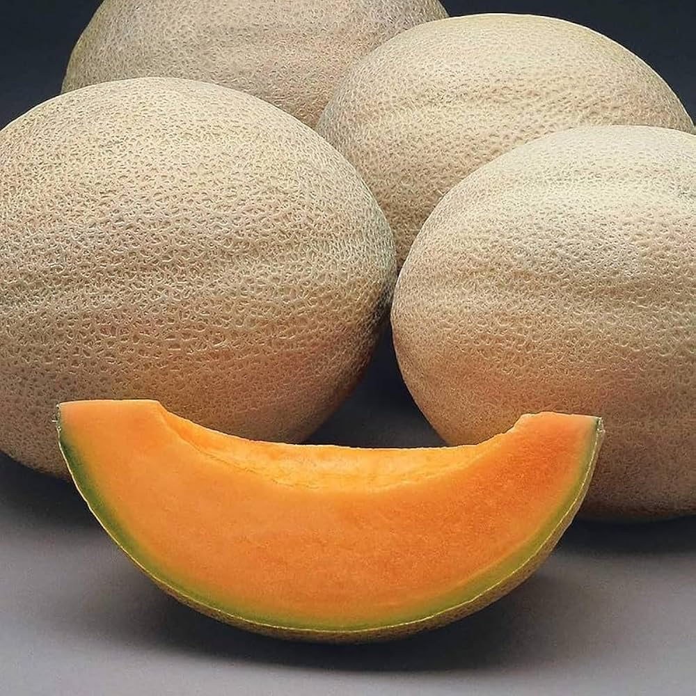 Sweet Rannya melon garden seeds for planting