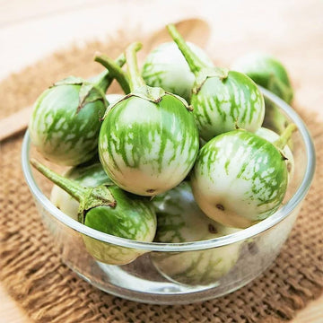 Thai Eggplant Petch Siam seeds (Solanum melongena) for home vegetable garden planting