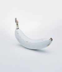 Tropical white banana plants grown from non-GMO seeds