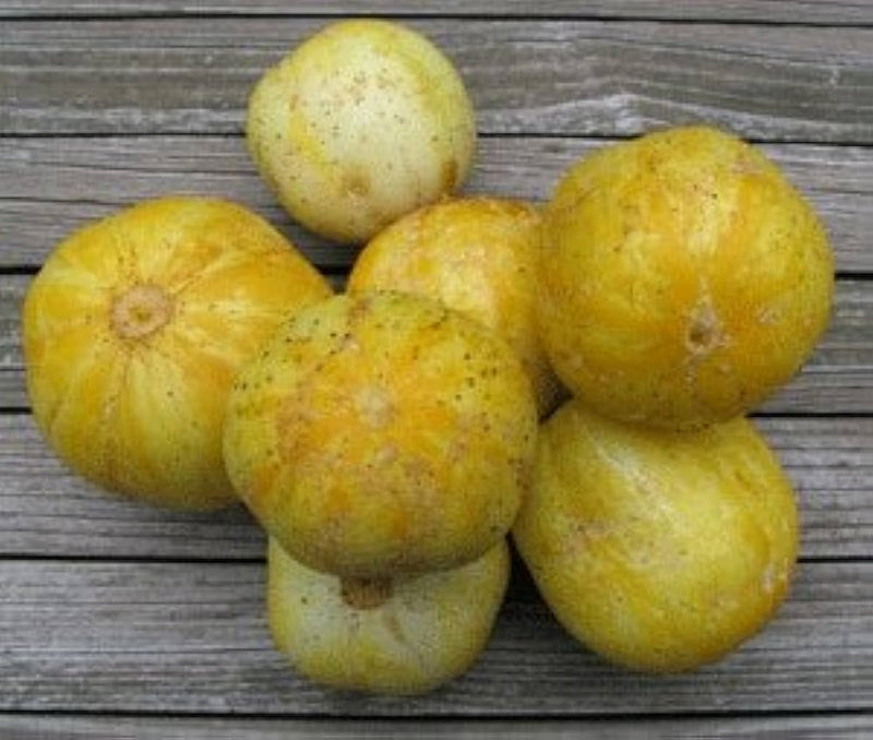 True Lemon Cucumber Seeds Non-GMO for zesty refreshing garden cucumbers
