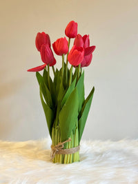 Tulip Red Maroon Flower Seeds for Planting – Fragrant Spring Blooms