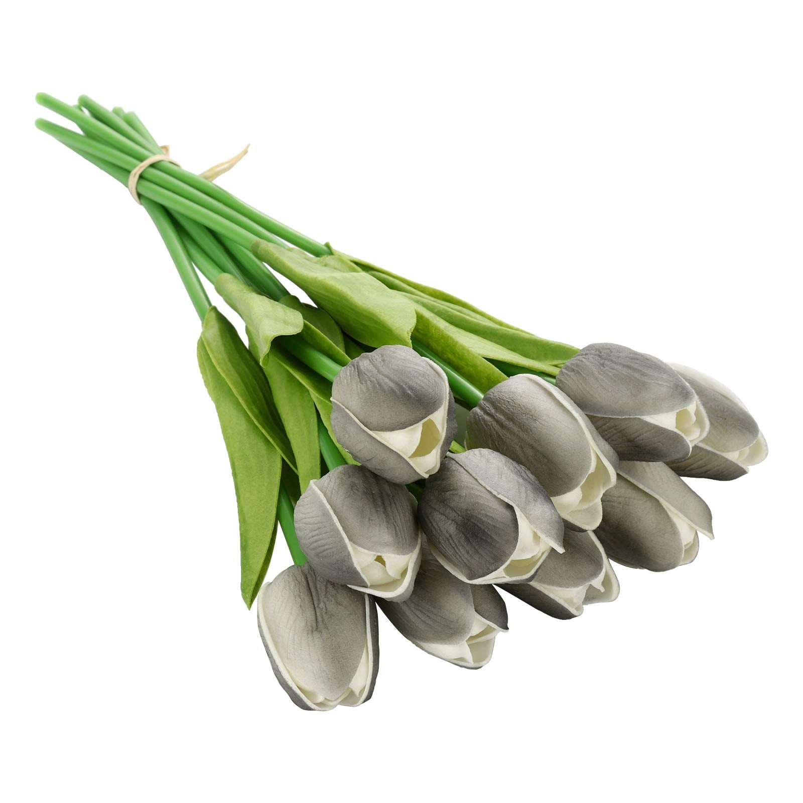 Vibrant Dark Gray Tulip Plants in Full Bloom