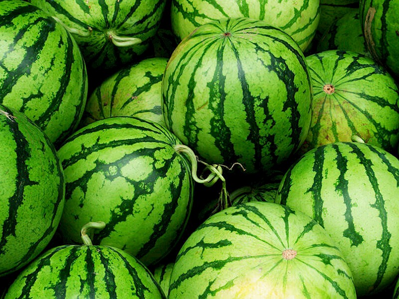 Wassermelone Fruit Seeds for Planting - Grow Your Own Juicy Watermelons