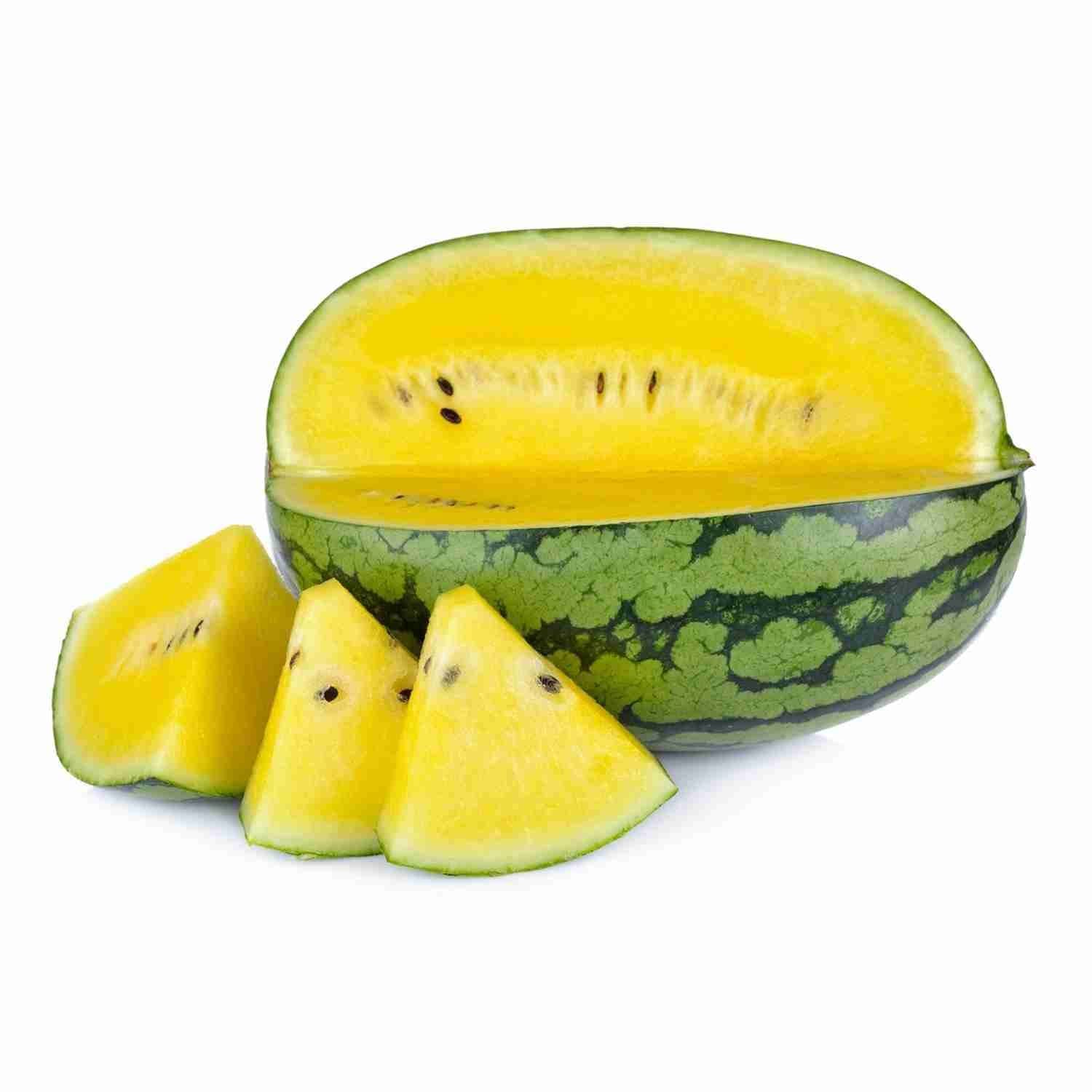 Watermelon seedlings growth and planting guide