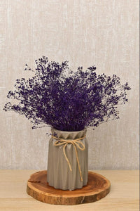 Dark Purple Gypsophila Flower Seeds - Perfect for Bold Floral Arrangements