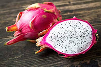 Mature White Dragon Fruit cactus with climbing vines