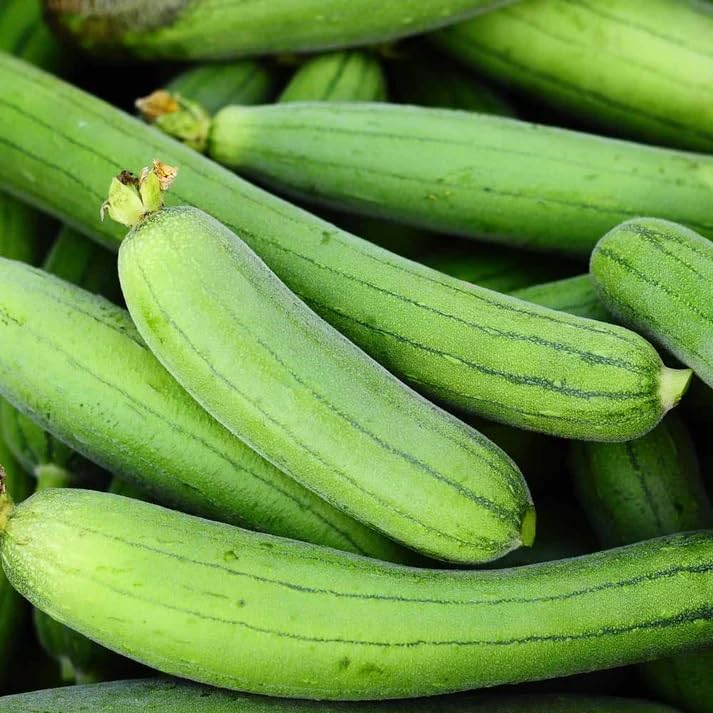 White Green Luffa seeds for planting in home gardens