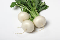 White turnip seeds for planting