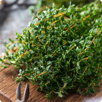 Winter Thyme seeds Thymus vulgaris evergreen perennial plant