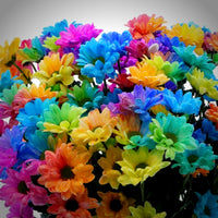 Rainbow Chrysanthemum Flower seeds for Planting - Pollinator Friendly, Heirloom & GMO Free Seeds for Home Garden