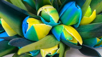 Yellow & Blue Tulip Flower Seeds for Planting