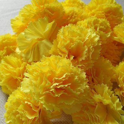 100 Pcs