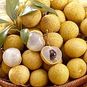100 pcs