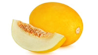 Yellow melon seed germination and planting guide