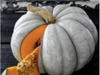 Gray Zapallo Plomo Vegetable Planting Seeds