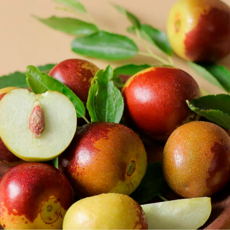 Mixed Jujube Fruit Seeds for Planting